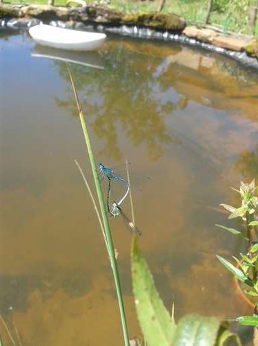 20180620_120601.jpg
